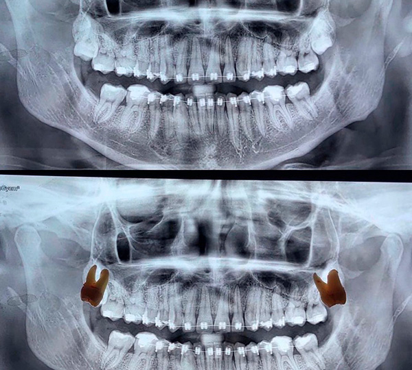 WhatsApp Image 2024-09-07 at 1.28.01 PM